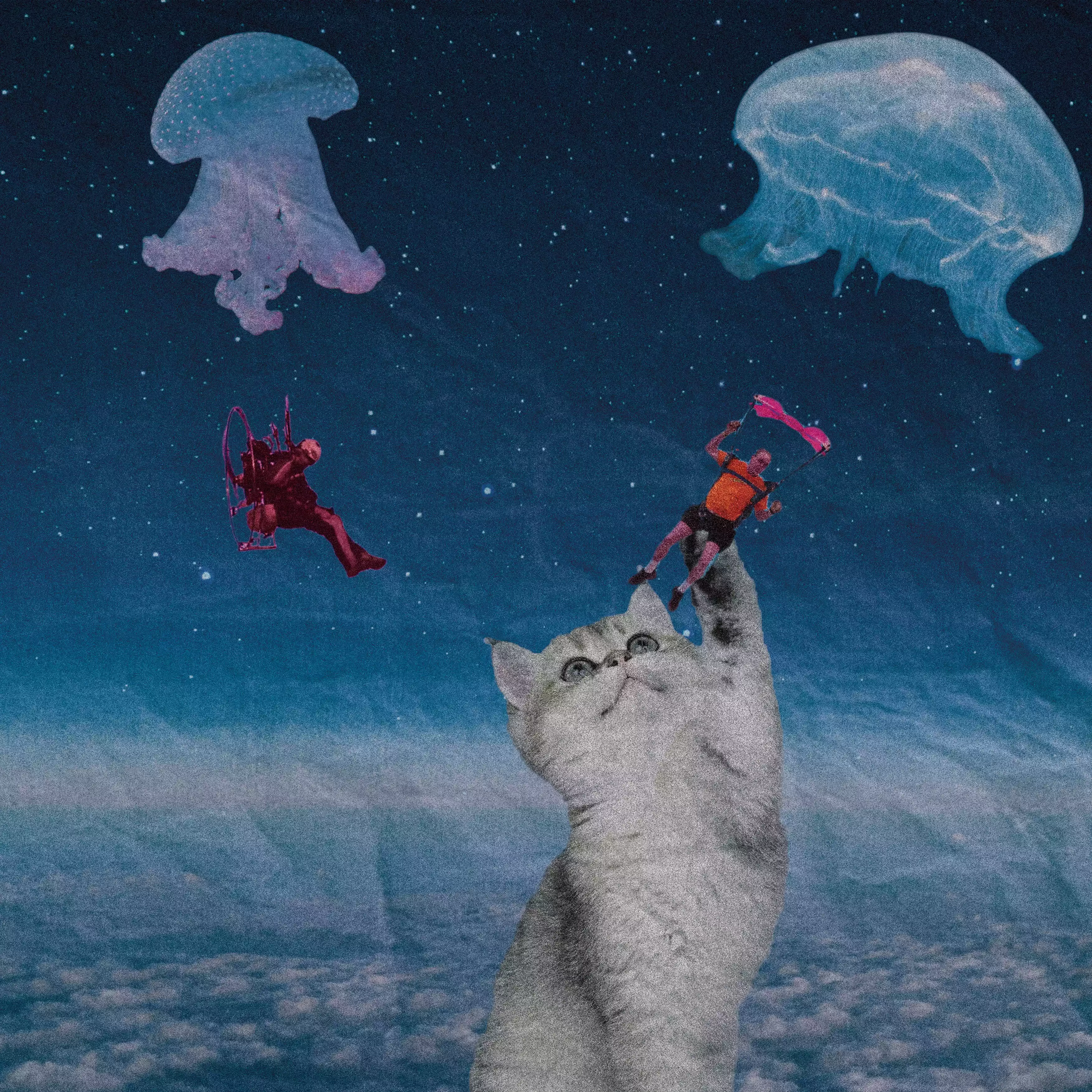 photomontage surréaliste d'un chat essayant d'attraper les méduses parachustistes